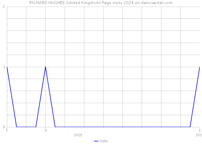 RICHARD HUGHES (United Kingdom) Page visits 2024 