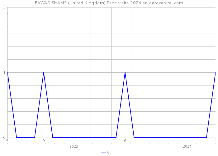 FAWAD SHAMS (United Kingdom) Page visits 2024 