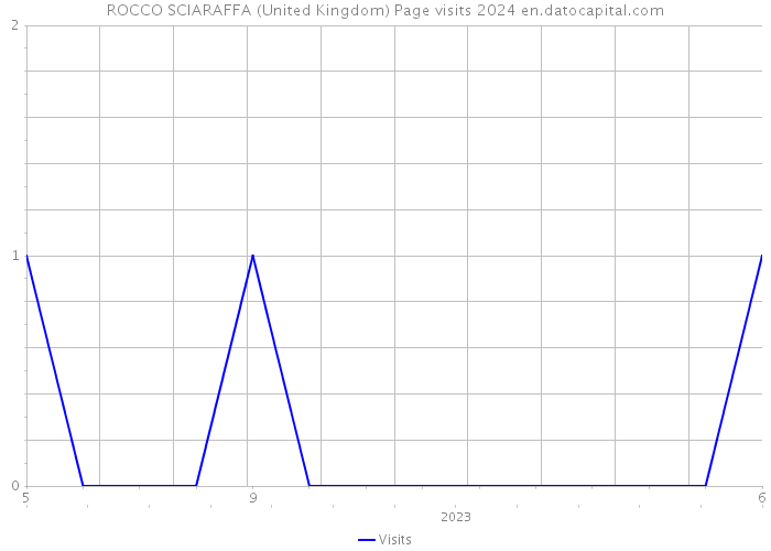 ROCCO SCIARAFFA (United Kingdom) Page visits 2024 