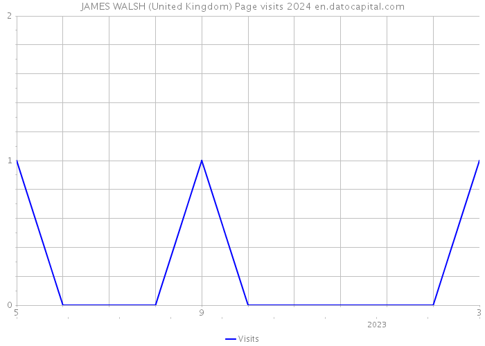 JAMES WALSH (United Kingdom) Page visits 2024 
