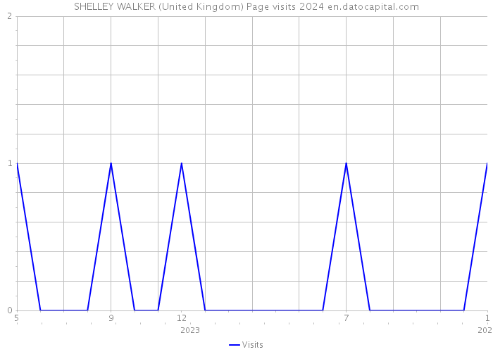 SHELLEY WALKER (United Kingdom) Page visits 2024 