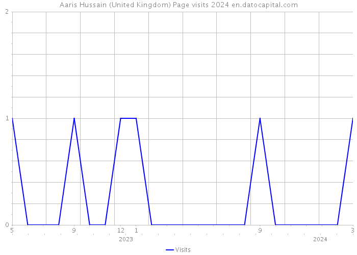 Aaris Hussain (United Kingdom) Page visits 2024 