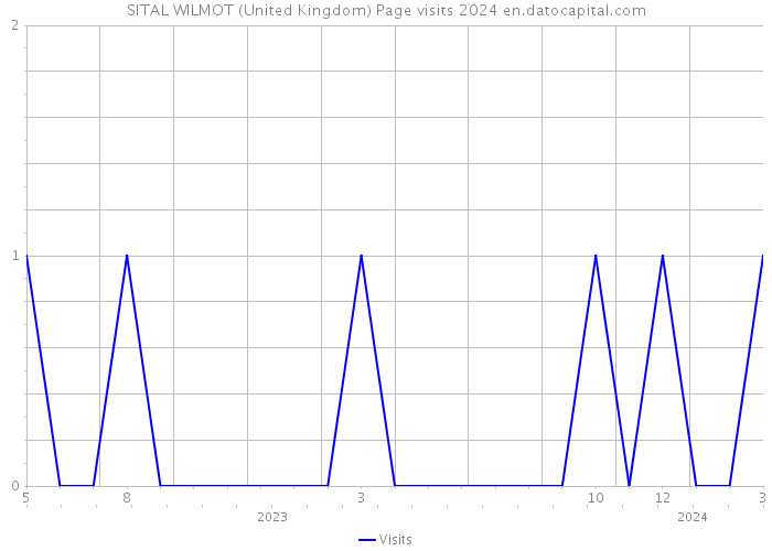 SITAL WILMOT (United Kingdom) Page visits 2024 