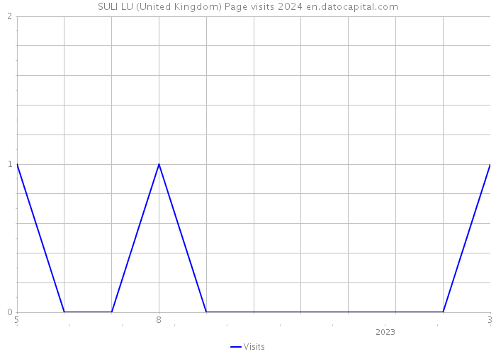 SULI LU (United Kingdom) Page visits 2024 