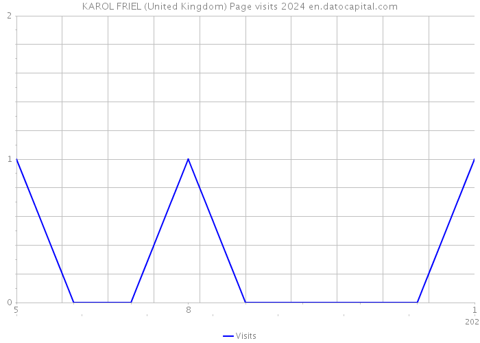 KAROL FRIEL (United Kingdom) Page visits 2024 