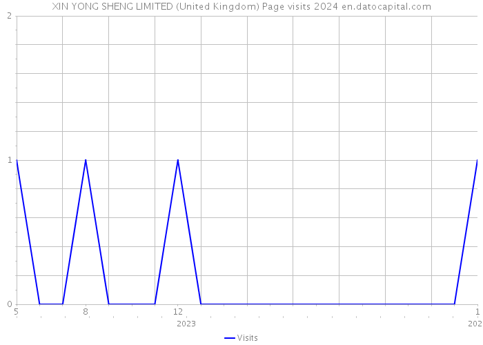 XIN YONG SHENG LIMITED (United Kingdom) Page visits 2024 