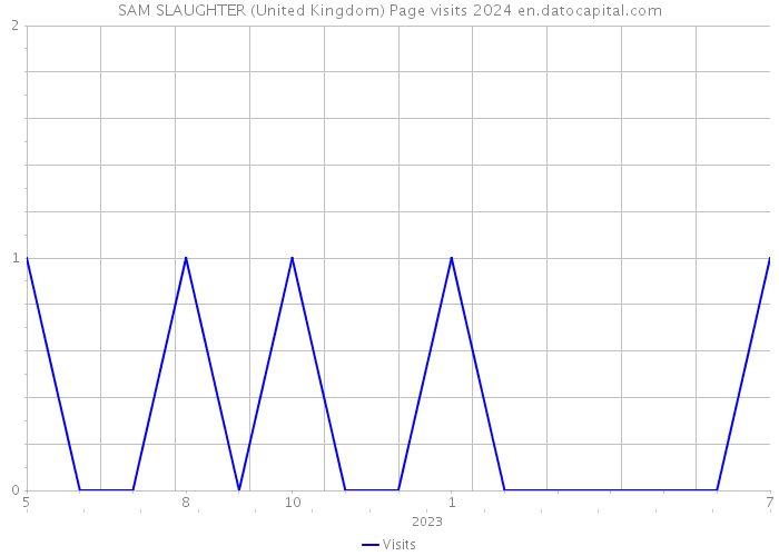 SAM SLAUGHTER (United Kingdom) Page visits 2024 