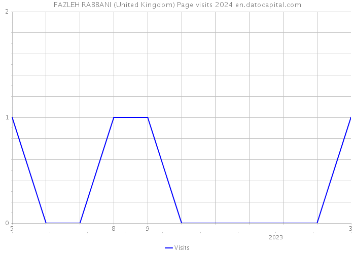 FAZLEH RABBANI (United Kingdom) Page visits 2024 