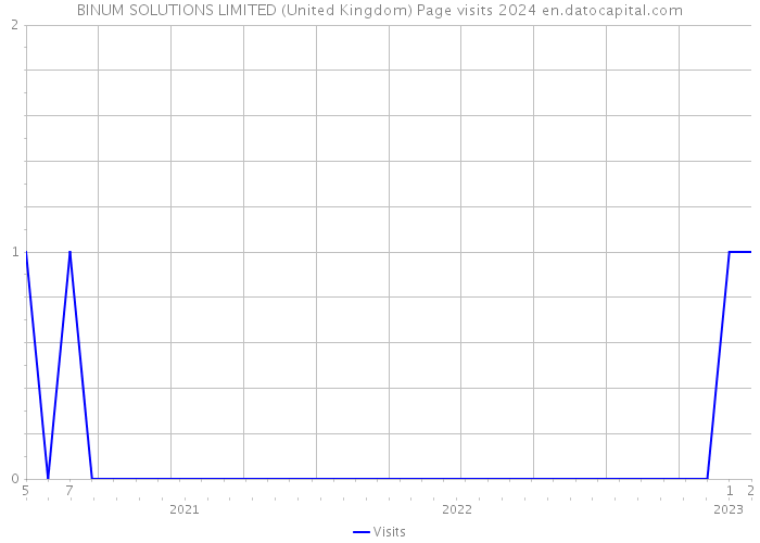BINUM SOLUTIONS LIMITED (United Kingdom) Page visits 2024 