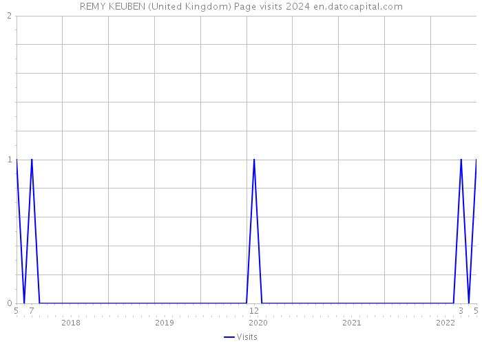 REMY KEUBEN (United Kingdom) Page visits 2024 