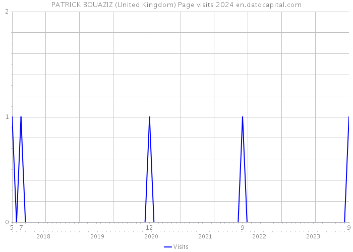 PATRICK BOUAZIZ (United Kingdom) Page visits 2024 