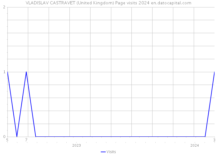 VLADISLAV CASTRAVET (United Kingdom) Page visits 2024 