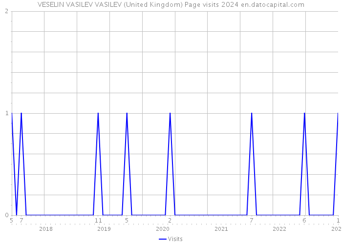 VESELIN VASILEV VASILEV (United Kingdom) Page visits 2024 