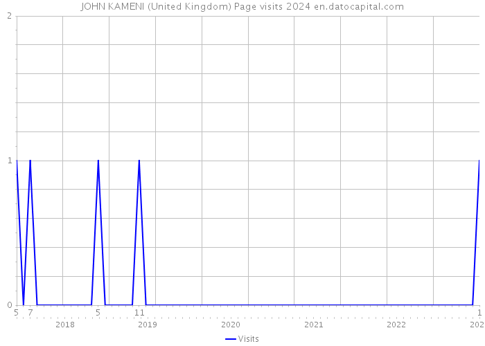 JOHN KAMENI (United Kingdom) Page visits 2024 