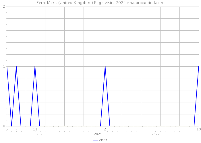 Femi Merit (United Kingdom) Page visits 2024 