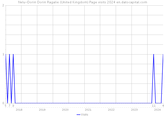 Nelu-Dorin Dorin Ragalie (United Kingdom) Page visits 2024 