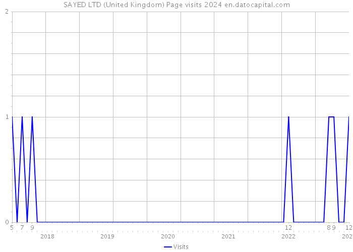 SAYED LTD (United Kingdom) Page visits 2024 