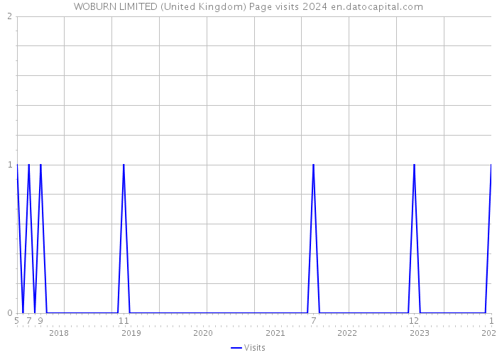 WOBURN LIMITED (United Kingdom) Page visits 2024 