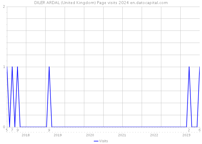 DILER ARDAL (United Kingdom) Page visits 2024 