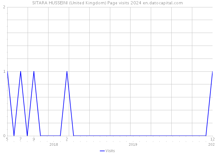 SITARA HUSSEINI (United Kingdom) Page visits 2024 
