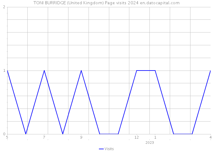 TONI BURRIDGE (United Kingdom) Page visits 2024 
