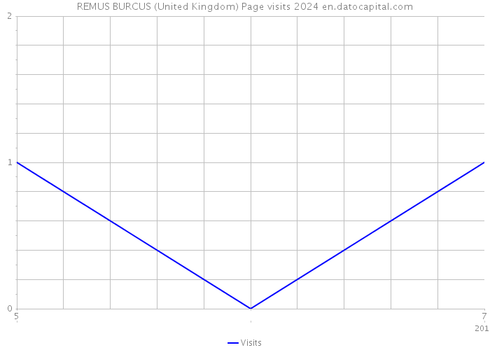 REMUS BURCUS (United Kingdom) Page visits 2024 