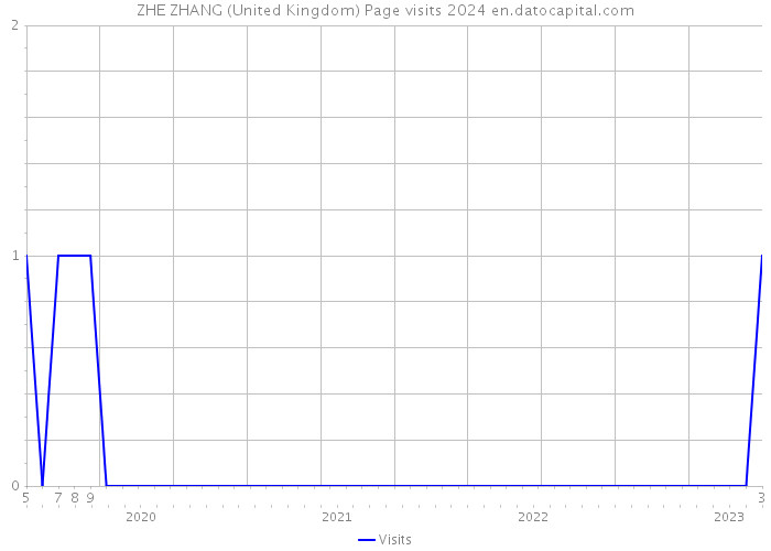 ZHE ZHANG (United Kingdom) Page visits 2024 