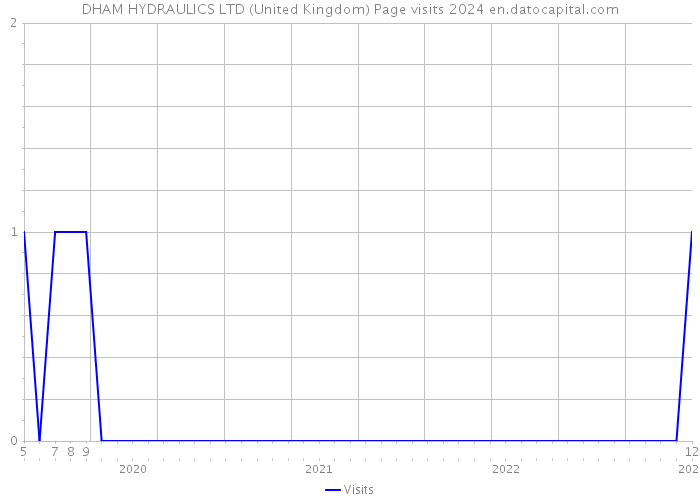 DHAM HYDRAULICS LTD (United Kingdom) Page visits 2024 