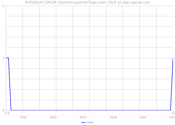 RADOSLAV GAZUR (United Kingdom) Page visits 2024 