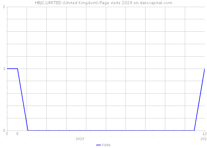 HBJG LIMITED (United Kingdom) Page visits 2024 