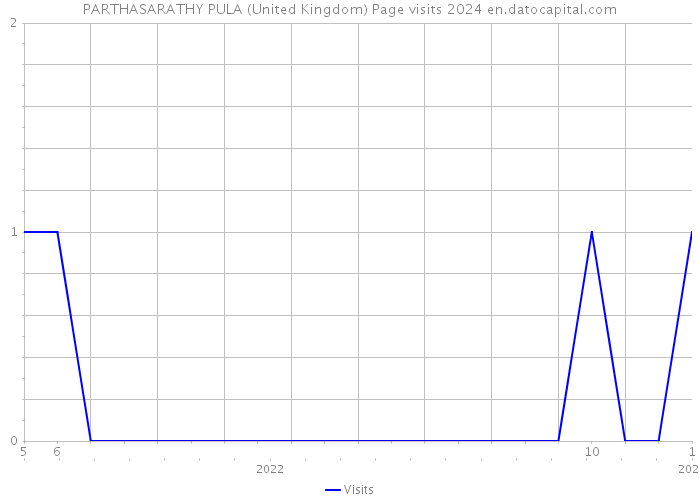 PARTHASARATHY PULA (United Kingdom) Page visits 2024 