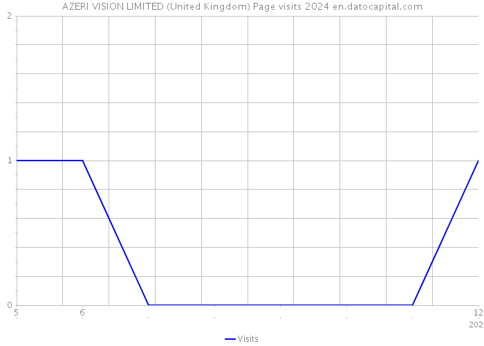 AZERI VISION LIMITED (United Kingdom) Page visits 2024 