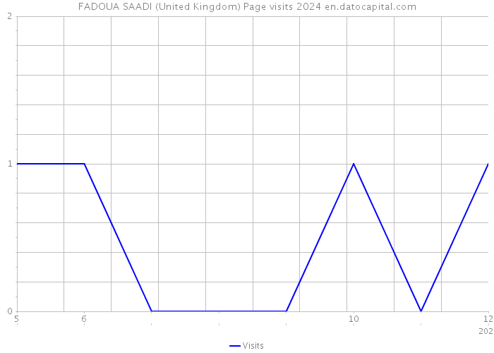FADOUA SAADI (United Kingdom) Page visits 2024 