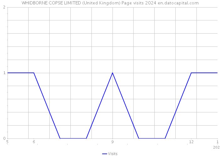WHIDBORNE COPSE LIMITED (United Kingdom) Page visits 2024 