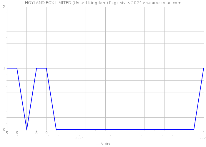 HOYLAND FOX LIMITED (United Kingdom) Page visits 2024 