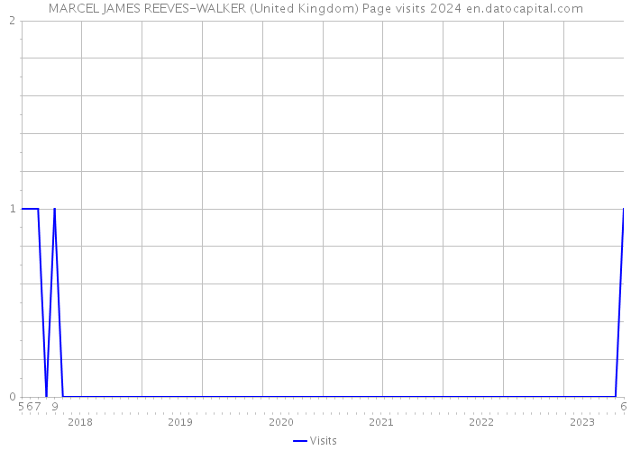 MARCEL JAMES REEVES-WALKER (United Kingdom) Page visits 2024 