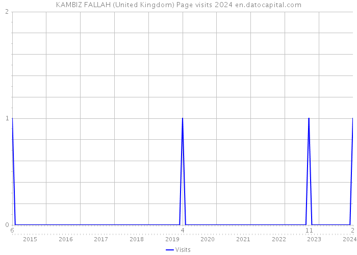 KAMBIZ FALLAH (United Kingdom) Page visits 2024 