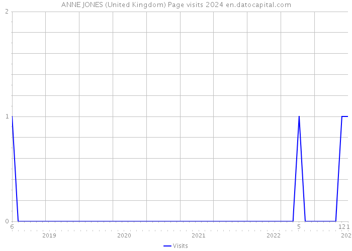 ANNE JONES (United Kingdom) Page visits 2024 