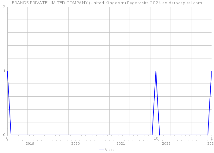 BRANDS PRIVATE LIMITED COMPANY (United Kingdom) Page visits 2024 