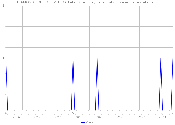 DIAMOND HOLDCO LIMITED (United Kingdom) Page visits 2024 