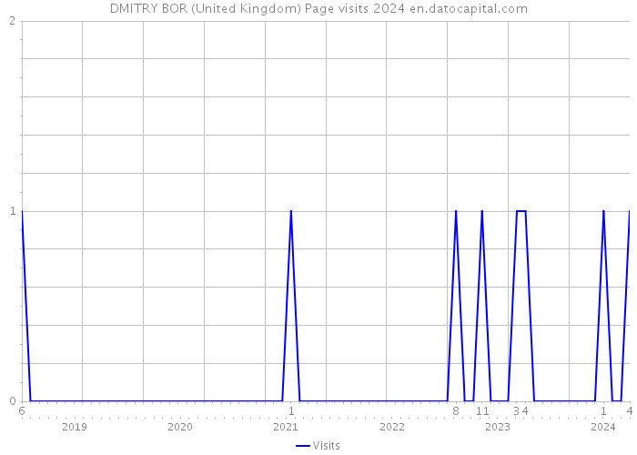 DMITRY BOR (United Kingdom) Page visits 2024 