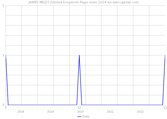 JAMES WILDY (United Kingdom) Page visits 2024 