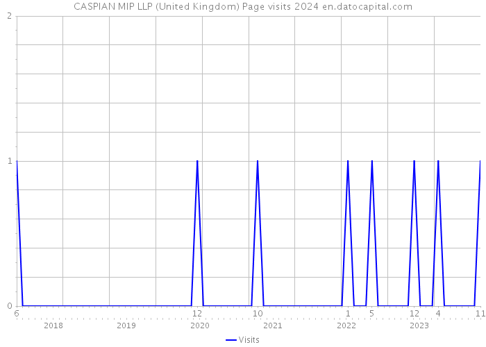CASPIAN MIP LLP (United Kingdom) Page visits 2024 