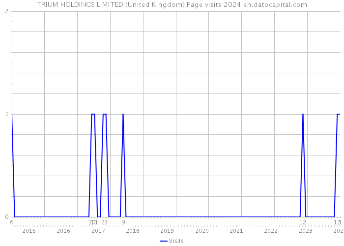 TRIUM HOLDINGS LIMITED (United Kingdom) Page visits 2024 
