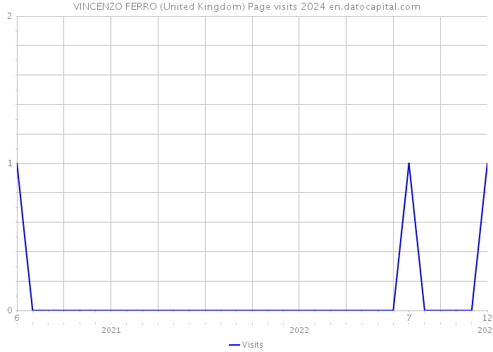 VINCENZO FERRO (United Kingdom) Page visits 2024 