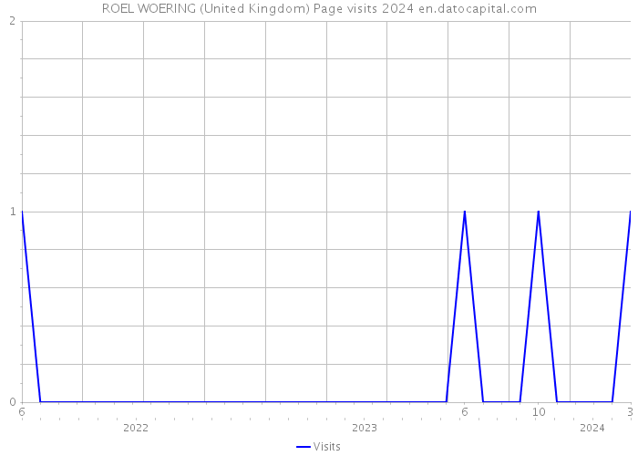 ROEL WOERING (United Kingdom) Page visits 2024 