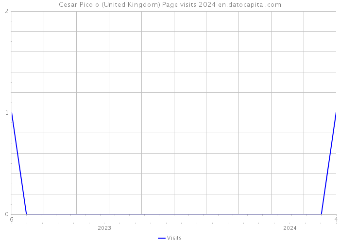 Cesar Picolo (United Kingdom) Page visits 2024 