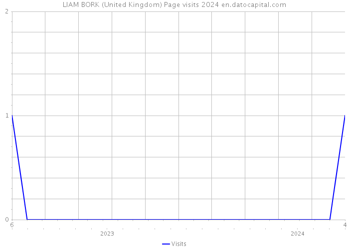 LIAM BORK (United Kingdom) Page visits 2024 