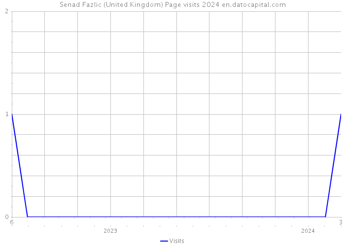 Senad Fazlic (United Kingdom) Page visits 2024 