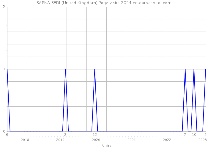 SAPNA BEDI (United Kingdom) Page visits 2024 